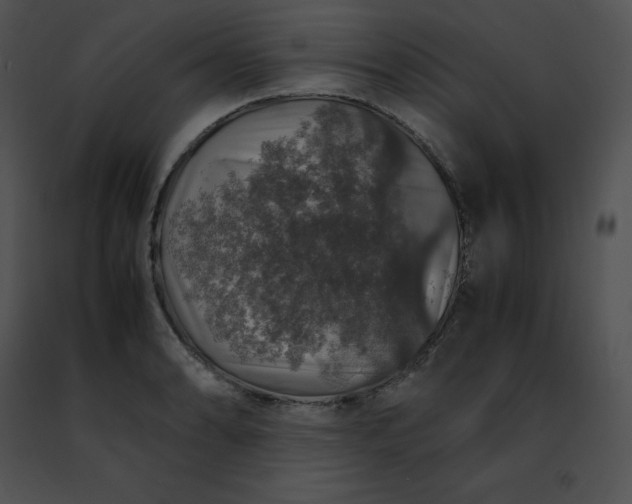 X0000091491086200708301931