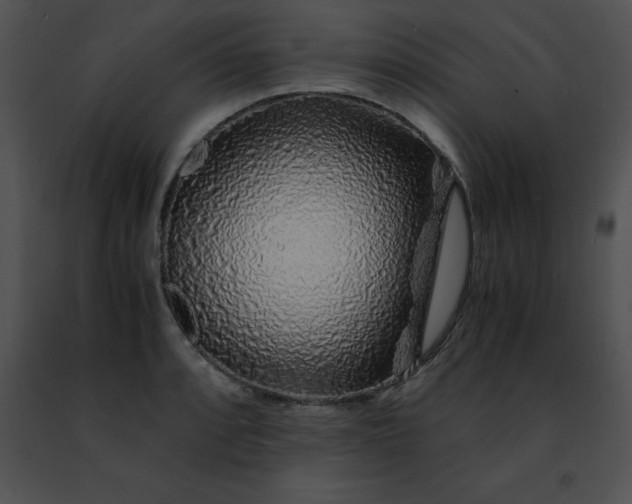 X0000091491088200708301930