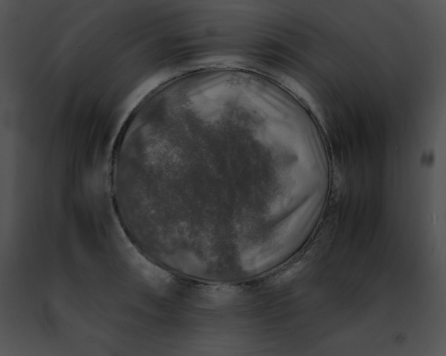 X0000091491090200708301930