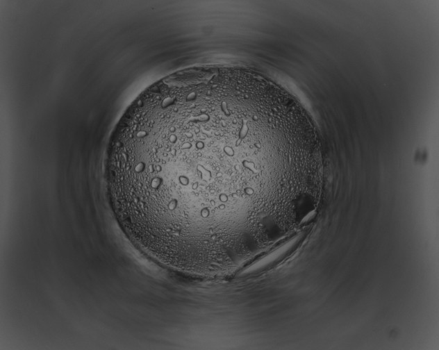 X0000091491091200708301930