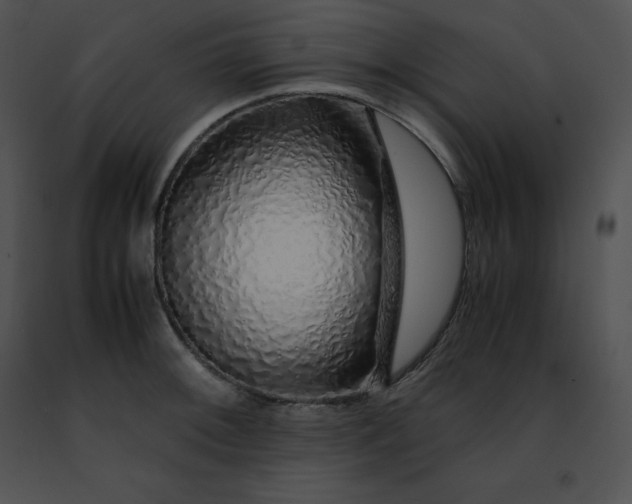 X0000091491092200708301930