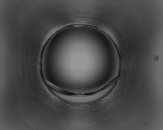 X0000091491093200708301930