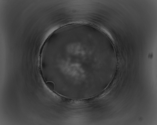 X0000091491095200708301930