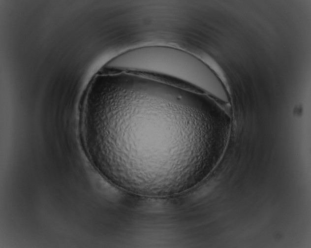 X0000091491096200708301930