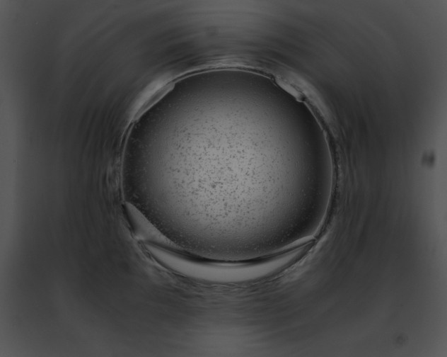 X0000091491097200708301930