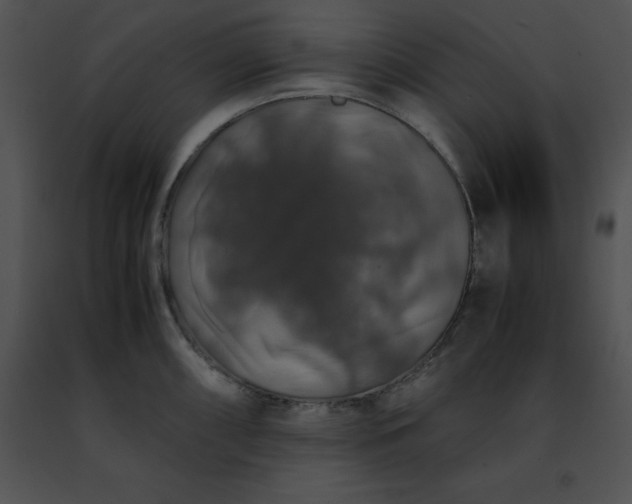 X0000091491098200708301930