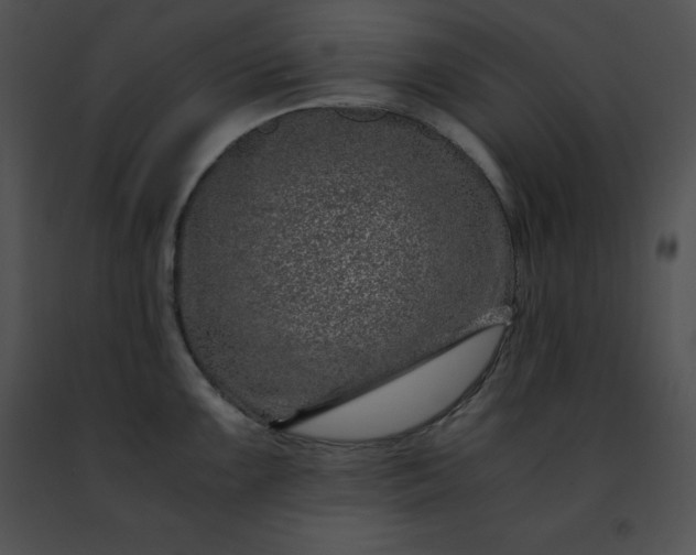 X0000091491099200708301930