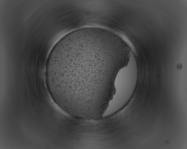 X0000091491100200708301930