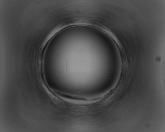 X0000091491101200708301930