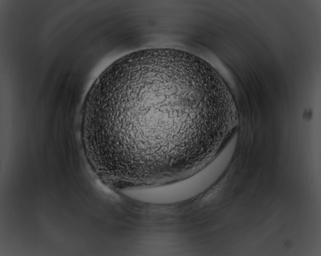 X0000091491102200708301930