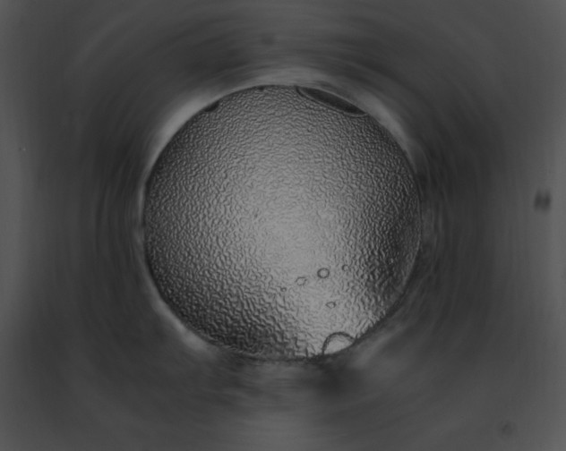 X0000091491103200708301930