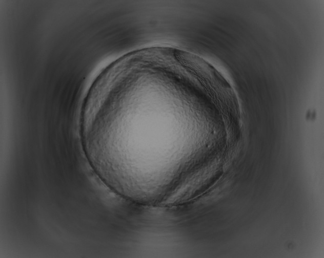 X0000091491104200708301930