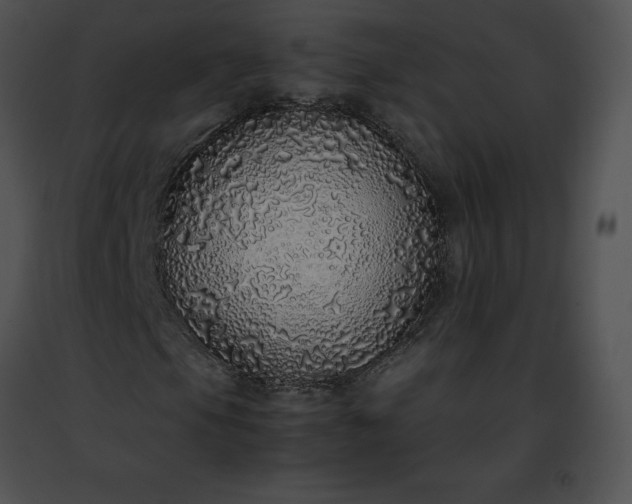 X0000091491105200708301930