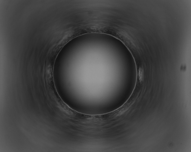 X0000091491107200708301930