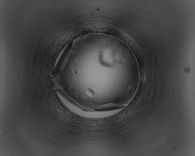 X0000091491108200708301930