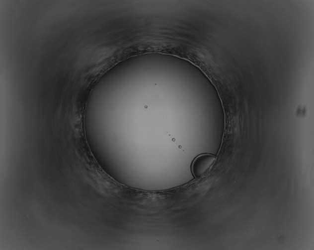 X0000091491109200708301930