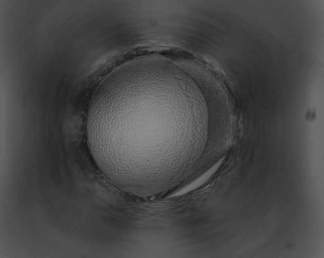 X0000091491110200708301930