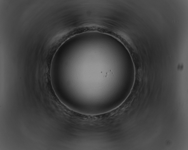 X0000091491111200708301930