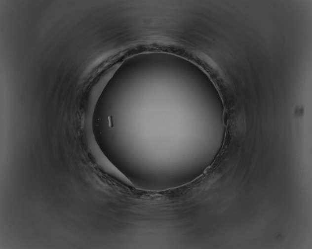 X0000091491112200708301930