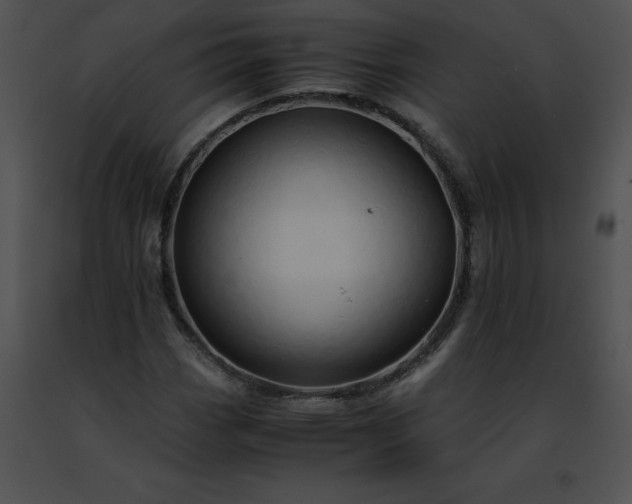 X0000091491113200708301930