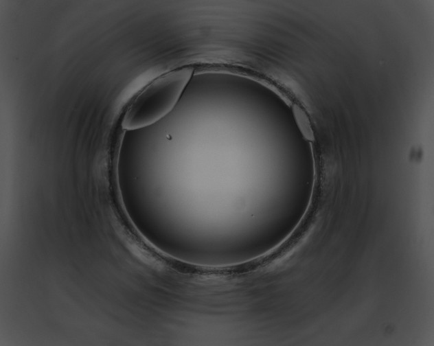 X0000091491114200708301930