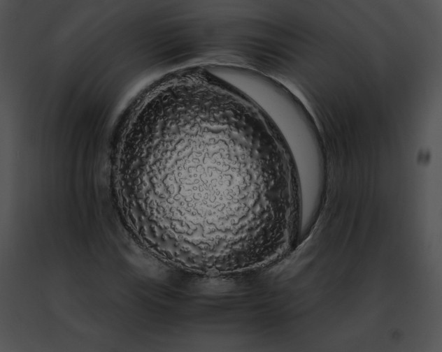 X0000091491115200708301930