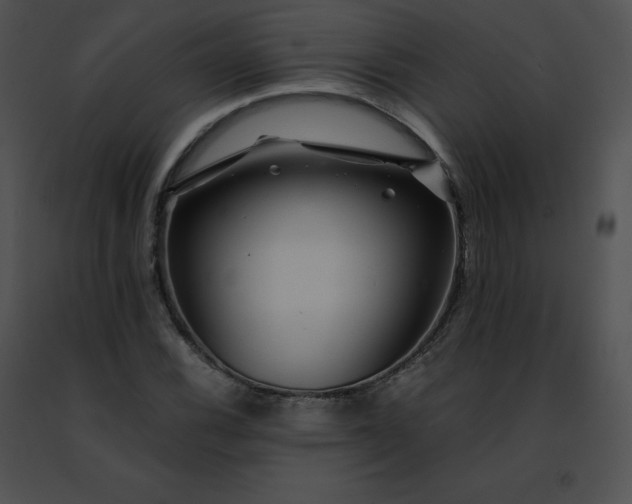 X0000091491116200708301930