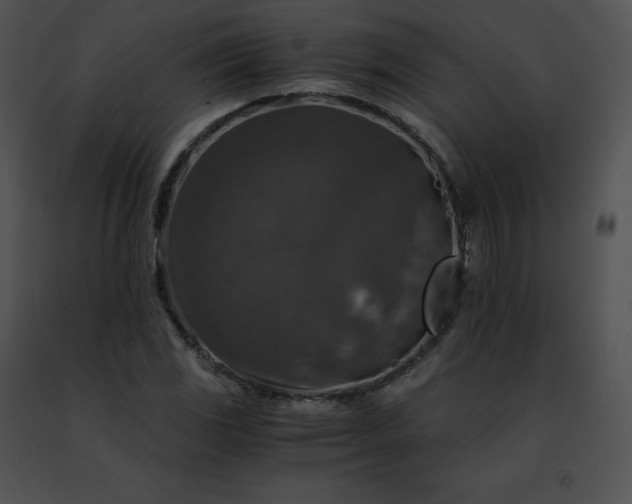 X0000091491117200708301930