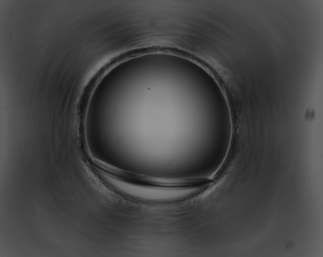 X0000091491118200708301930