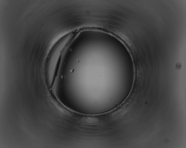 X0000091491119200708301930