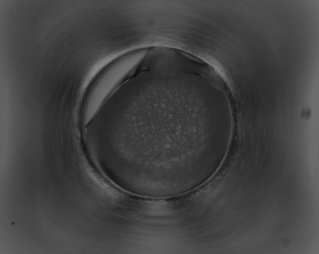 X0000091491120200708301930