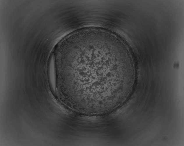 X0000091491121200708301930