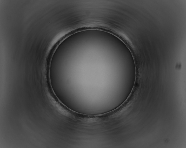 X0000091491122200708301930