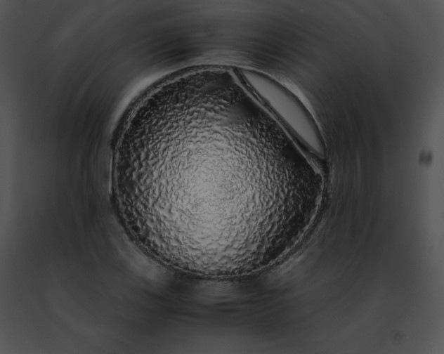 X0000091491123200708301930