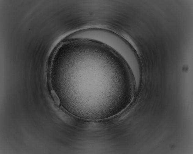 X0000091491124200708301930