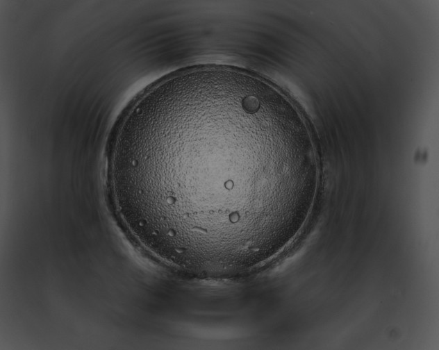 X0000091491125200708301930