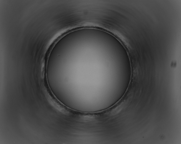 X0000091491126200708301930