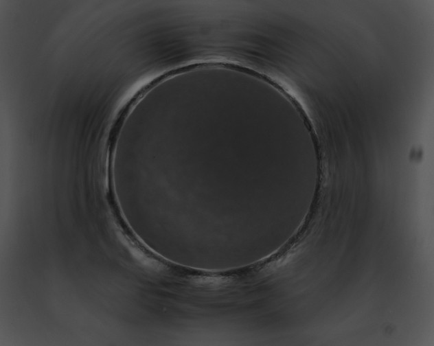 X0000091491127200708301930