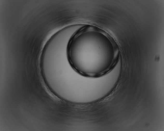 X0000091491128200708301930