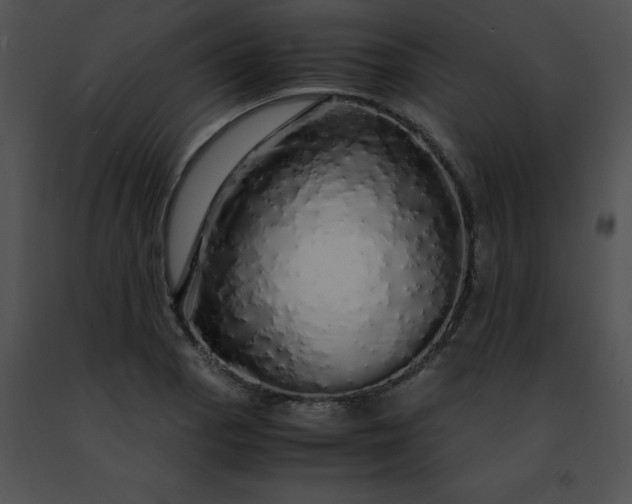 X0000091491129200708301930