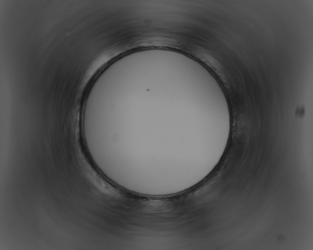 X0000091491130200708301930