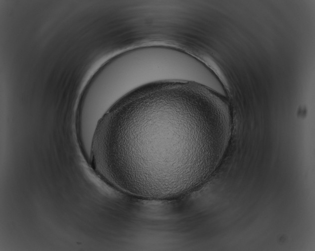 X0000091491132200708301930