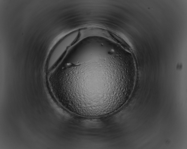 X0000091491133200708301930