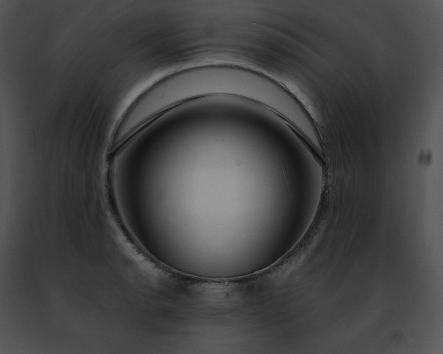 X0000091491134200708301930