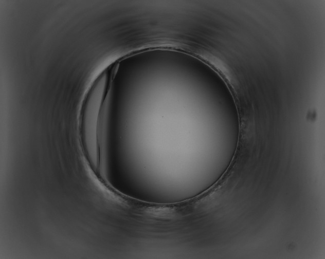 X0000091491135200708301930