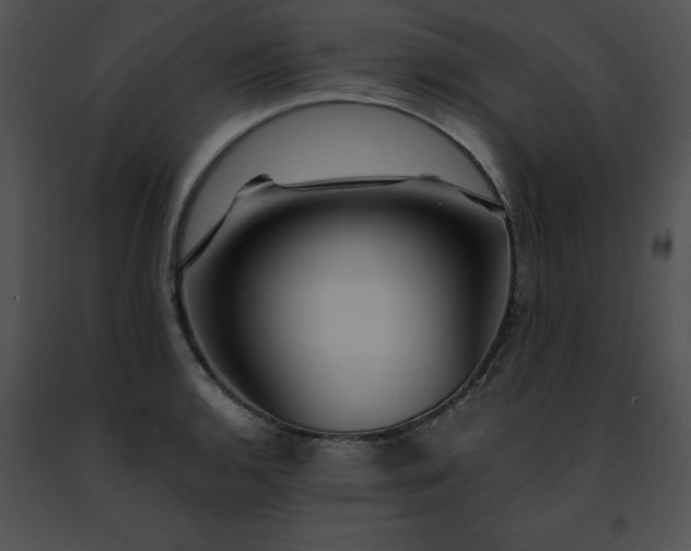 X0000091491136200708301930