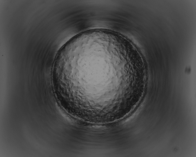 X0000091491137200708301930