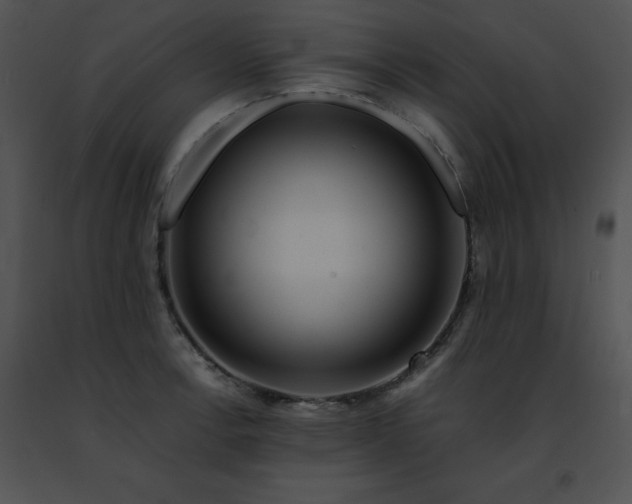 X0000091491138200708301930