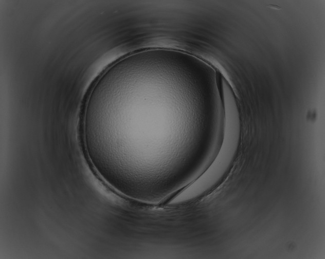 X0000091491139200708301930