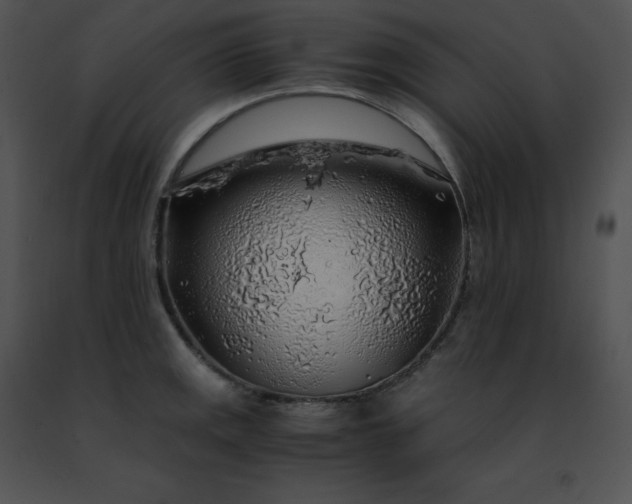 X0000091491141200708301930